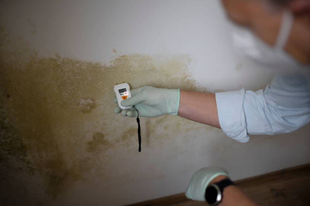 Best Crawl Space Mold Removal  in West Kittanning, PA