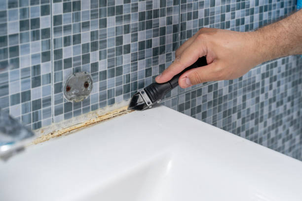 Best Certified Mold Removal  in West Kittanning, PA